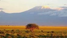 Les touristes négligent Dar es-Salaam et lui préfèrent le Kilimandjaro. © AFP
