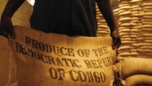 Sacs de café à Kinshasa. Le secteur agricole est la priorité du gouvernement. © Lionel Healing/AFP