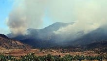 Le mont Chaambi, massif boisé dans le gouvernorat de Kasserine. © AFP