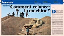 La filière arachide, l’un des pilliers de l’économie sénégalaise, est en panne. © Michel Renaudeau/HOA QUI