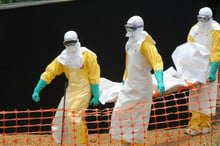 Ebola en Afrique de l’Ouest, un effrayant virus tueur venu de loin © AFP