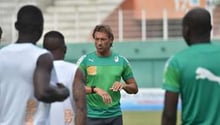 Le sélectionneur Hervé Renard, le 18 novembre 2014 à Abidjan. © AFP