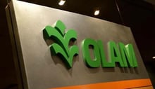 Olam est présent dans 25 pays africains. © DR