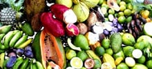 Fruits tropicaux. © Grameen Crédit Agricole