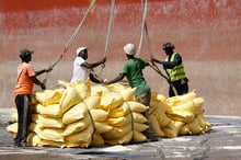 Manutention des sacs de riz importés de Chine au port de Dakar (Sénégal, juillet 2013) © Vredeseilanden/CC