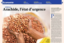 Dans son édition n°2896, « Jeune Afrique » livre une analyse inédite et sans concession des responsabilités des différents acteurs de la filière arachide au Sénégal. © Clément Tardif pour Jeune Afrique