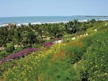 Paysage vers Cap Skirring, en Casamance, le 16 novembre 2006. © Jacques DU SORDET/EditionsduJaguar