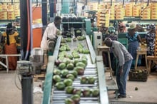 Dans les locaux de l’entreprise Safina, à Dakar, au Sénégal. © Sylvain Cherkaoui pour Jeune Afrique