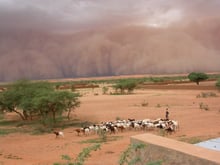 Tempête extrême dans le Sahel. © Françoise GUICHARD / Laurent KERGOAT / CNRS Photo Library