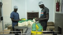 Une raffinerie d’huile d’arachide à Dakar. © Sylvain Cherkaoui pour JA