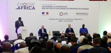 Conférence de presse d’Amadou Bâ, Rémy Rioux et Bruno Le Maire à Dakar, le 29 mars 2019. © Twitter