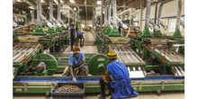 Usine de decorticage d’anacarde de Fludor Benin. Filiale locale du holding nigerian Tropical General Investment (TGI) a a Zogbodomey, Benin, novembre 2017. © Jacques Torregano pour JA