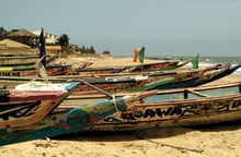 Des pirogues dans la réserve de La Somone, sur la Petite Côte, au Sénégal. © Jacques Du Sordet pour les Éditions du Jaguar