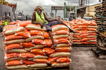 Port céréalier d’Abidjan © Port d’Abidjan : Port céréalier @ Jacques Torregano pour JA