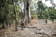 Des soldats sénégalais lors d’une opération contre le Mouvement des forces démocratiques de Casamance, le 9 février 2021 (Archives). © JOHN WESSELS/AFP