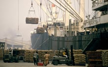 Chargement d’un cargo de sacs de cacao à Abidjan © Philippe ROY / Aurimages via AFP