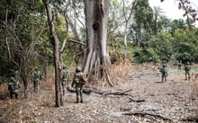 Des membres des forces armées sénégalaises en opération dans la forêt de Blaze, le 9 février 2021. © JOHN WESSELS/AFP