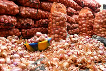 Au marché de Cambérène, à Dakar, en juin 2019. © Seyllou/AFP