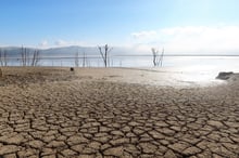 Vue d’un sol fissuré près du barrage de Sidi El Barrak, à Nafza, à l’ouest de la capitale Tunis, en Tunisie, en janvier 2023. © REUTERS/Jihed Abidellaoui.