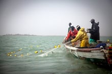 À la suite de la publication de la liste des bateaux autorisés à pêcher, la Commission européenne a délivré, le 28 mai, un « carton jaune » au Sénégal, remettant en question « la fiabilité du système de traçabilité » des produits. © Gordon Welters/LAIF-REA