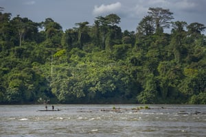 Le Gabon ait pression pour être payé pour la préservation de ses forêts vierges (ici la rivière Ogoue, vue depuis Lastoursville, s’étend sur 1 200 km). © Sergio Hanquet/Biosphoto via AFP.