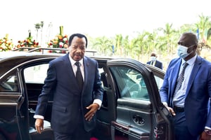 Au Cameroun, qui sont les défenseurs zélés de Paul Biya pendant son absence ?