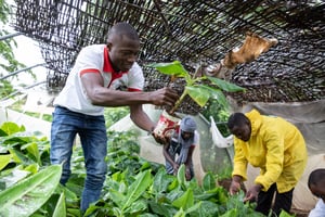 Élève en formation à l’Institut polytechnique rural de formation et de recherche appliquée de Katibougou, le 12 septembre 2019.