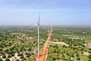 Le parc éolien de Taiba Ndiaye, dans l’ouest du Sénégal, premier du genre dans le pays, en octobre 2019. © ADRIEN BARBIER/AFP.