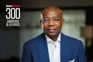 Aigboje Aig Imoukhuede © DR