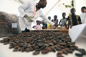 Au Festival des glaces et du chocolat, à Abidjan, en mai 2018. © Sia KAMBOU/AFP