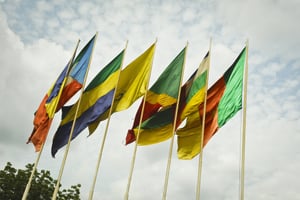Drapeaux des pays membres de la Cemac au siège, à Bangui. République centrafricaine. © Vincent Fournier/JA.
