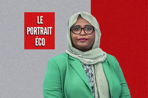 Mariam Hamadou Ali © Montage JA : Présidence de Djibouti
