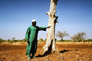Yacouba Sawadogo avait réintroduit le zaï, une technique de lutte contre la désertification, au Burkina Faso. © Stefano De Luigi/VII/REDUX-REA