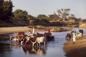 Éleveurs le long de la rivière Komadougou Yobé (Nigeria), près du lac Tchad. © Jacob SILBERBERG/PANOS-REA