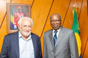 Dominique Strauss-Kahn et le ministre des Comptes publics du Gabon, Charles Mba, le 17 juin à Libreville. © X Ministère des Comptes Publics
