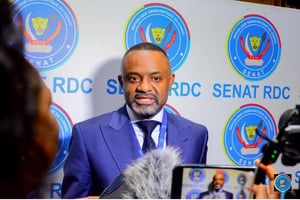 Le sénateur et cadre du parti Ensemble pour la République, Salomon Idi Kalonda. © Sénat RDC