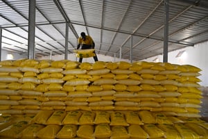 Un fermier à Ross Béthio, dans le nord du Sénégal, en octobre 2022. Le pays est l’un des plus exposés à l’inflation alimentaire. © SEYLLOU / AFP