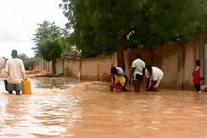 Inondations au Tchad © DR