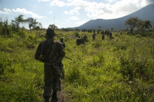 Les FARDC sont accusées d’avoir tué plusieurs civils dans la journée du 15 août 2024, à Kilwa, dans le sud-est de la RDC. © KAY JOSEPH/SIPAUSA/SIPA