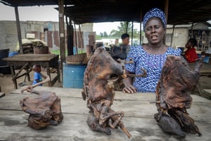 Une vendeuse de viande de brousse séchée, au marché d’Ajegunle Ikorodu, à Lagos, le 13 août 2014. © Pius Utomi EKPEI / AFP