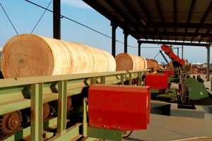 Une usine de la Société nationale des bois du Gabon. © Facebook SNBG
