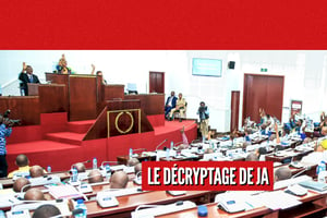 L’Assemblée nationale togolaise. © MONTAGE JA : ASSEMBLEE NATIONALE TOGOLAISE