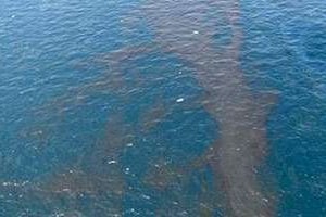 La nappe de pétrole a atteint les côtes américaines, jeudi 29 avril. © AFP
