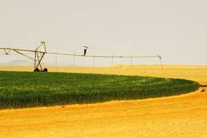 irrigation dans la région d’Adrar, dans le sud du pays. © Agostino Pacciani