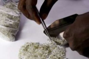 Examen de diamants bruts à la Banque Centrale de la Sierra Leone, le 10 août à Freetown. © AFP
