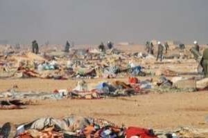Ce qui restait du camp de réfugiés sahraouis après son démantèlement, le 8 novembre. © AFP