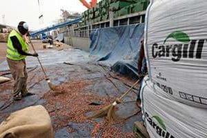 Au port d’Abidjan, l’un des principaux points de sortie du cacao, le 17 janvier. © Luc Gnago/Reuters