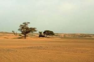 Le désert algérien près de Djanet. © AFP