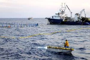 En méditerranée comme ici aux Îles Baléares, les permis de pêche ont baissé de 5 % en 2011. © Damourette/Sipa
