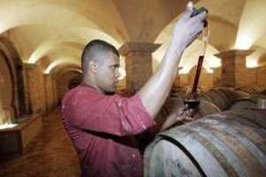 Les Celliers de Meknès, propriété du Monsieur Vin marocain, Brahim Zniber. © AFP